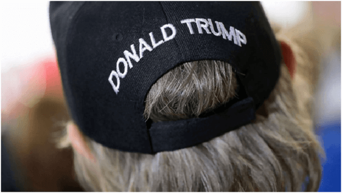 Politics hat